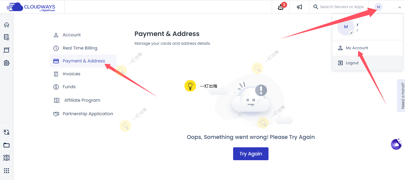 cloudways支付报错